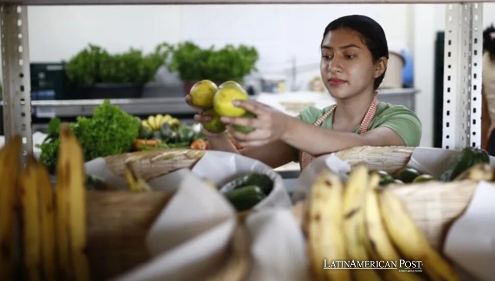 El Salvador Women Harvest Hope Through Organic Agriculture El Salvador Women Harvest Hope Through Organic Agriculture