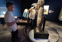 Mexico’s Imperial Stone Tells a Story Of Aztec Might and Mystery