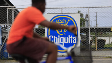 Panama Port Paralysis: How the Chiquita Walkout Stalled Banana Exports